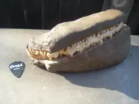 DSCF4400.webp