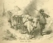 Appletons_12_pg045b.webp