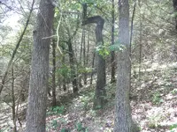 100_3685.webp