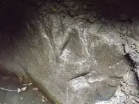 DSCF1213.webp