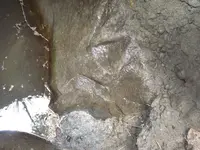 DSCF1218.webp