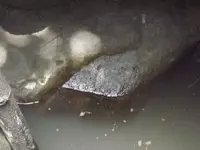 DSCF1219.webp