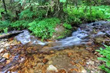 SWIFTWATERONE.webp