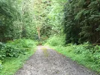 ImageUploadedByTreasureNet.com1468706367.562908.webp