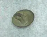 Conical Button.webp