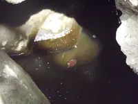 DSCF1211.webp