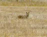 bike ride 060216 2.webp