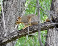 bike ride 060216 3.webp