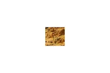 Untitled.webp