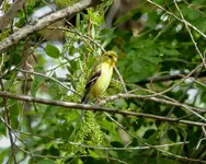 bike ride 060216 6.webp