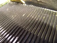 DSCF0378.webp