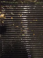 DSCF0380.webp