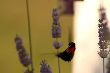 K1600_IMG_9312.webp
