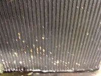 DSCF0374.webp