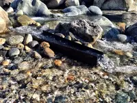 ImageUploadedByTreasureNet.com1467267396.409318.webp