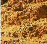 rocks.webp