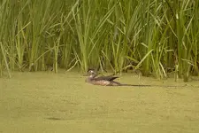 K1600_IMG_8432-01.webp