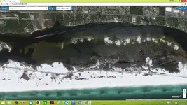 Coast close up 1.webp