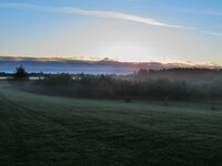 Morning Fog in the Sunrise-2.jpg