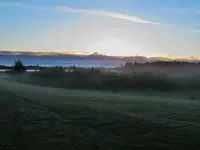 Morning Fog in the Sunrise-2.webp Morning Fog in the Sunrise-2.webp