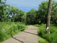 coal creek trail 1.webp