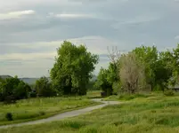 coal creek trail 4.webp