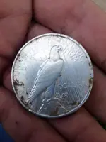 1923 Peace Dollar Find Back.webp