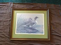 Twilight Duo - Pintails Basil Ede Signed.webp