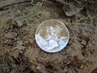 Racer 2 - 3 Silver Coins 012.webp