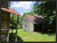 RED OAK 2.webp