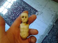20160620_105255.webp