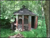 RED OAK 8.webp