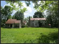 RED OAK 9.webp
