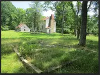 Red Oak 11.webp