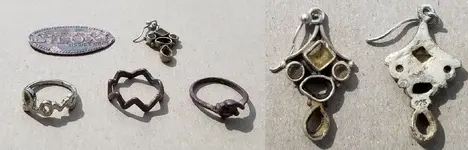 20160619 Gulf coast finds.webp