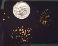 june3gold.webp