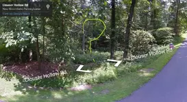 grove2.webp