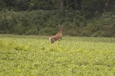 K1600_IMG_9477.webp
