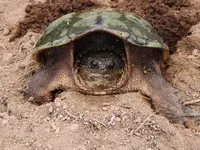 DSCN1969.webp