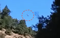 Area 51, Area S4, forest , camping, Moon, DARPA, ID4, Mayan, Warrier, fight, time, base, rove...webp Area 51, Area S4, forest , camping, Moon, DARPA, ID4, Mayan, Warrier, fight, time, base, rove...webp