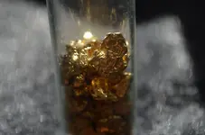 gold5.webp