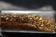 gold6.webp