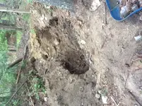 Hole.webp Hole.webp