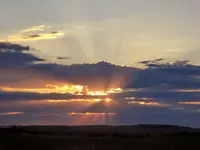 OS 072316 1.webp
