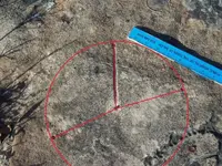 rock carving 2.webp