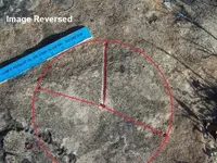 rock carving 2 image reversed.webp