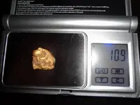 Nug on scale.webp