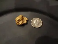 Nug on side 1.webp