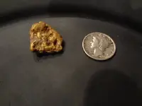 Nug on side 2.webp