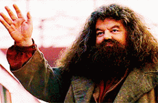 harry-hagrid-wave.gif